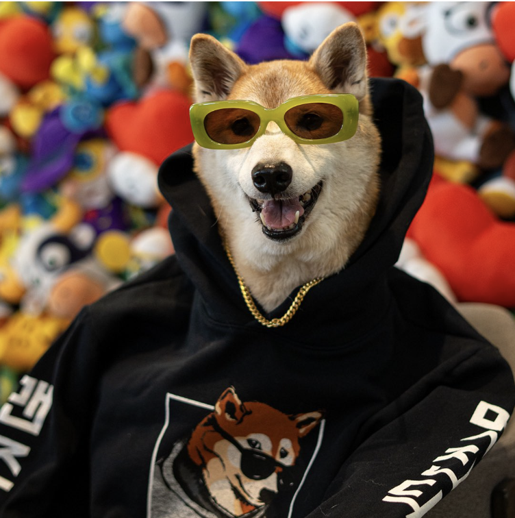Duke the Dog