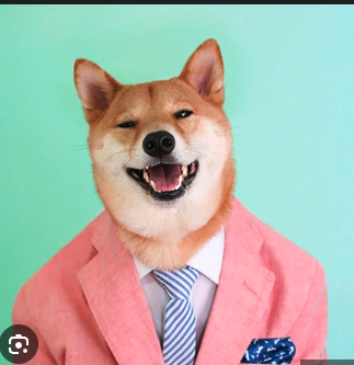 Bobo the Dog